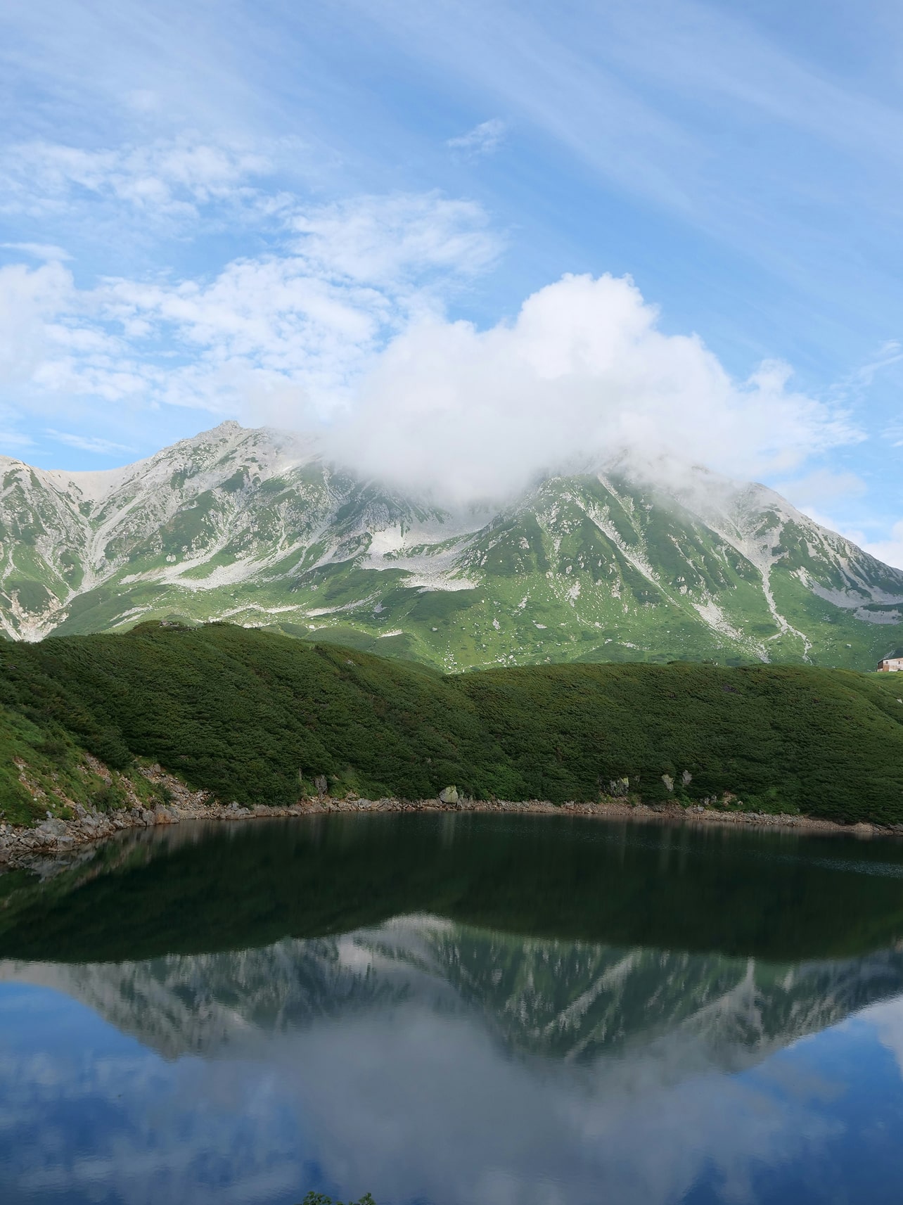 夏の山の写真
